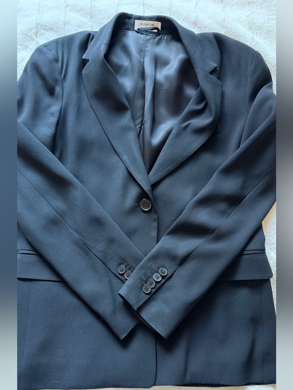Aritzia Babaton Blazer in Black